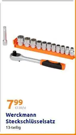 Action Werckmann Steckschlüsselsatz Angebot