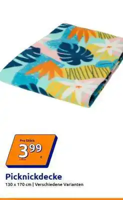 Action Picknickdecke Angebot