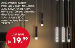 Möbel Martin Akku-Pendelleuchte Angebot