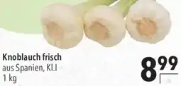 CITTI Markt Knoblauch frisch Angebot