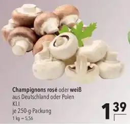 CITTI Markt Champignons rosé oder weiß Angebot