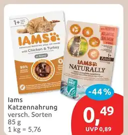 Budni Iams katzennahrung Angebot