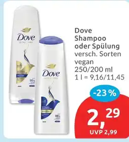 Budni Dove shampoo Angebot