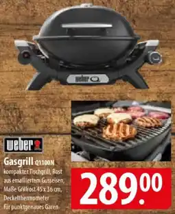 Famila Nord Ost weber Gasgrill Q1100N Angebot