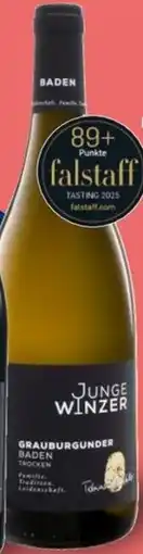 Lidl JUNGE WINZER 2024 Selection Grauburgunder Angebot