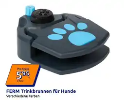 Action Ferm trinkbrunnen für hunde Angebot