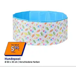 Action Hundepool Angebot