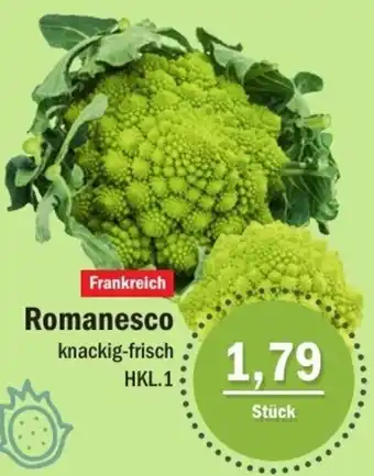 Aktiv Irma Romanesco Angebot