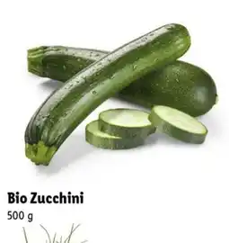 Lidl Bio Zucchini Angebot