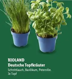 Lidl BIOLAND Deutsche Topfkräuter Angebot