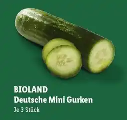 Lidl BIOLAND Deutsche Mini Gurken Angebot