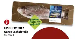 Lidl FISCHERSTOLZ Ganze Lachsforelle Angebot