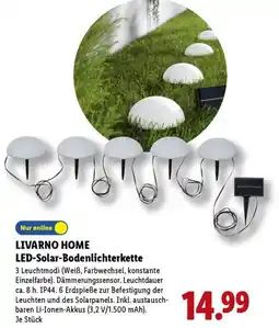 Lidl LIVARNO HOME LED-Solar-Bodenlichterkette Angebot