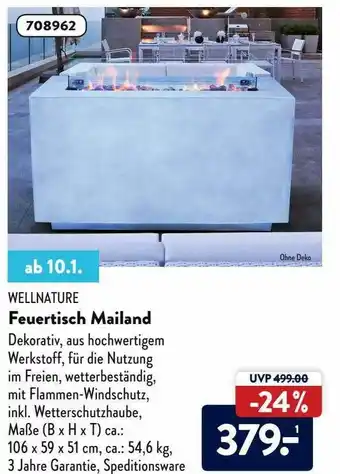 Aldi Süd Wellnature Feuertisch Mailand Angebot