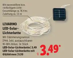 Lidl LIVARNO LED-Solar- Lichterkette Angebot
