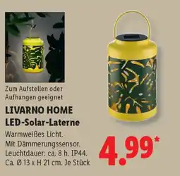 Lidl LIVARNO HOME LED-Solar-Laterne Angebot
