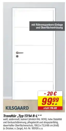 toom Baumarkt KILSGAARD Trendtür „Typ 17/14 R-L" Angebot
