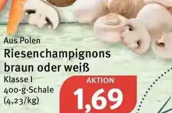 Feneberg Aus Polen Riesenchampignons Braun Oder Weiß Angebot