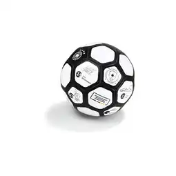 Netto Marken-Discount DFB Unterschriftenball Angebot
