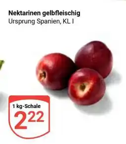 Globus Nektarinen gelbfleischig Angebot