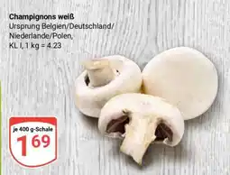 Globus Champignons weiß Angebot