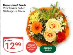 Globus Blumenstrauß Brenda Angebot