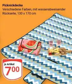 Globus Picknickdecke Angebot