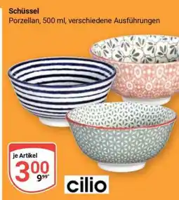 Globus Schüssel Angebot