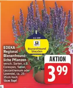 E-Center Edeka regional bienenfreundliche pflanzen Angebot