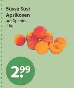 V Markt Süsse susi aprikosen Angebot