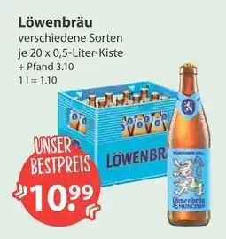 V Markt Löwenbräu münchner hell Angebot