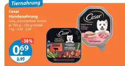 V Markt Cesar natural goodness terrine Angebot