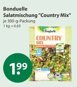 V Markt Bonduelle salatmischung country mix Angebot