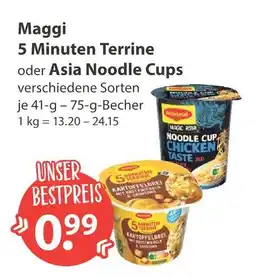 V Markt Maggi 5 minuten terrine Angebot