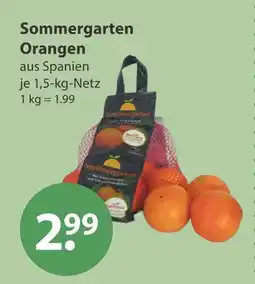V Markt Sommergarten orangen Angebot