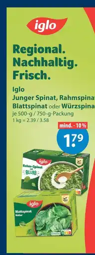 V Markt Iglo junger spinat Angebot