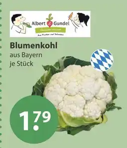 V Markt Albert & gundel blumenkohl Angebot