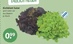 V Markt Eichblatt salat grün Angebot