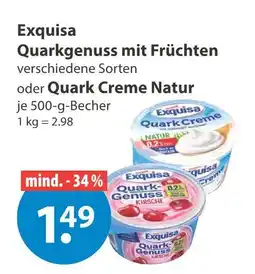 V Markt Exquisa quarkgenuss mit früchten Angebot
