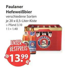 V Markt Paulaner hefeweißbier Angebot