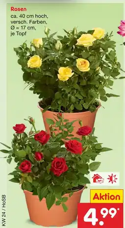 Netto Marken-Discount Rosen Angebot