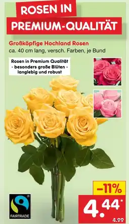 Netto Marken-Discount Großköpfige hochland rosen Angebot