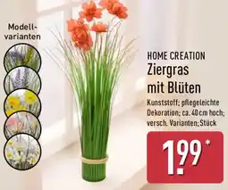 Aldi Nord HOME CREATION Ziergras mit Blüten Angebot