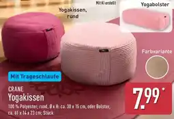 Aldi Nord CRANE Yogakissen Angebot