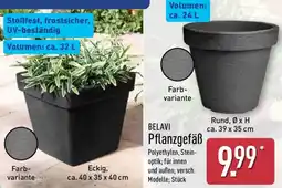 Aldi Nord BELAVI Pflanzgefäß Angebot