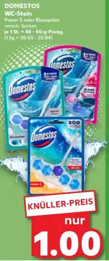 Kaufland DOMESTOS WC-Stein Angebot