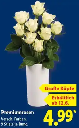 Lidl Premiumrosen Angebot