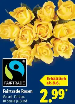 Lidl Fairtrade Rosen Angebot