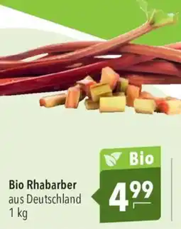 CITTI Markt Bio Rhabarber Angebot
