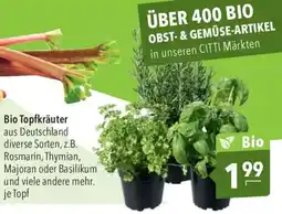 CITTI Markt Bio Topfkräuter Angebot